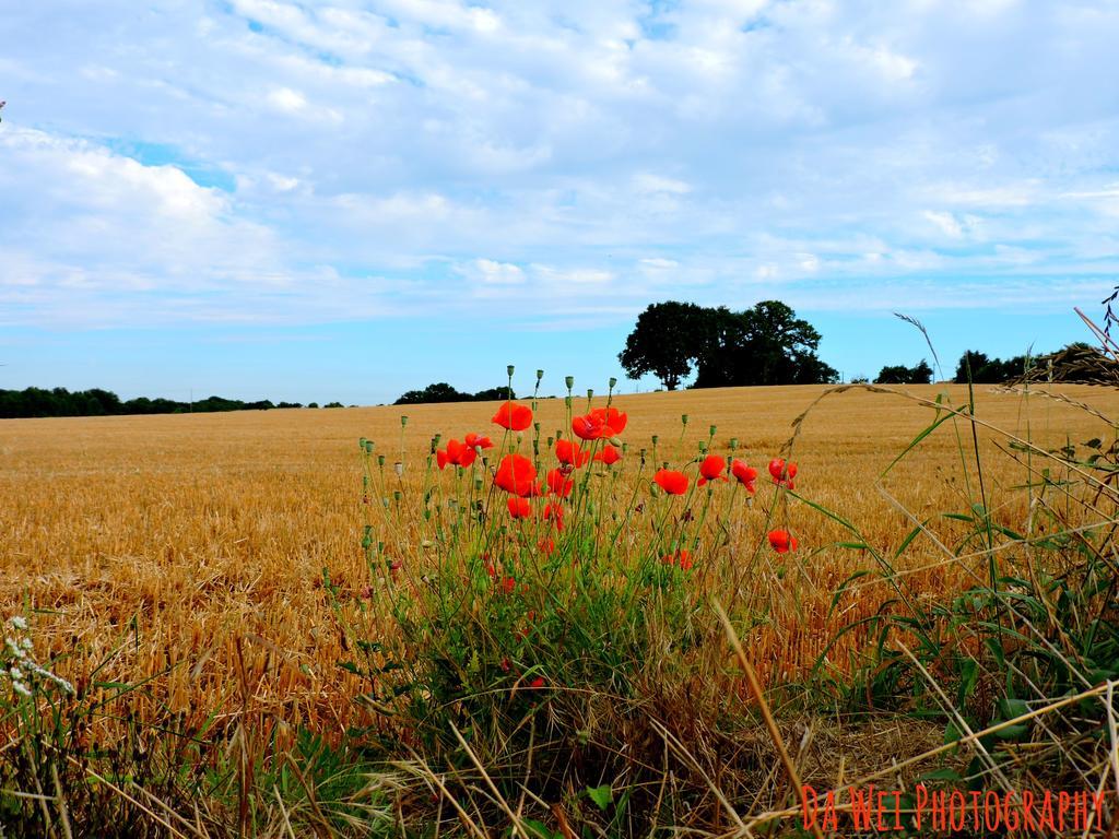 Gite Dans Les Alpes Mancelles Gesnes-le-Gandelin 外观 照片